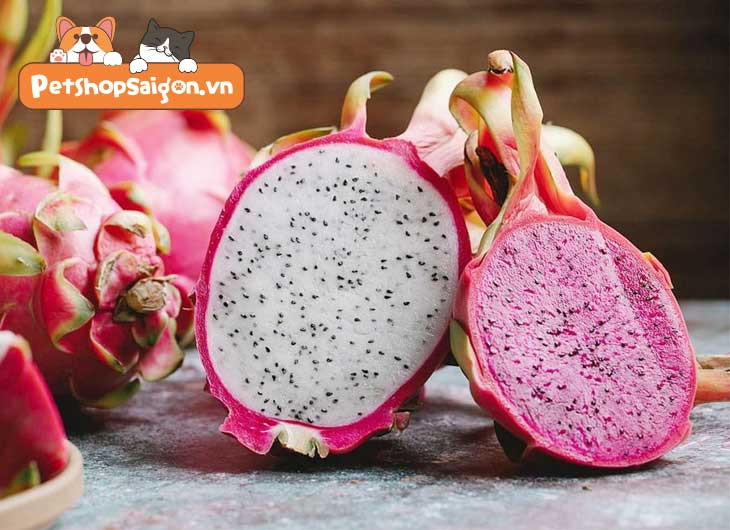 Cách cho chó ăn thanh long