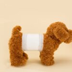 Cách dùng tã bỉm cho chó từ A-Z