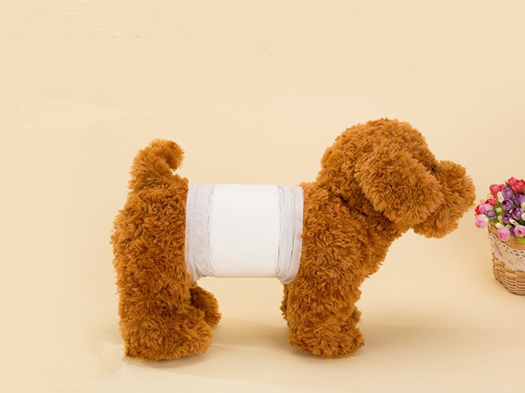 Cách dùng tã bỉm cho chó từ A-Z