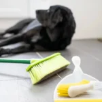 Cách khử mùi hôi của chó đơn giản nhưng hiệu quả không ngờ