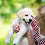 Cách làm thân với chó: Top những lưu ý đặc biệt