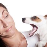 Chó bị hôi miệng: Nguyên nhân & Cách xử lý