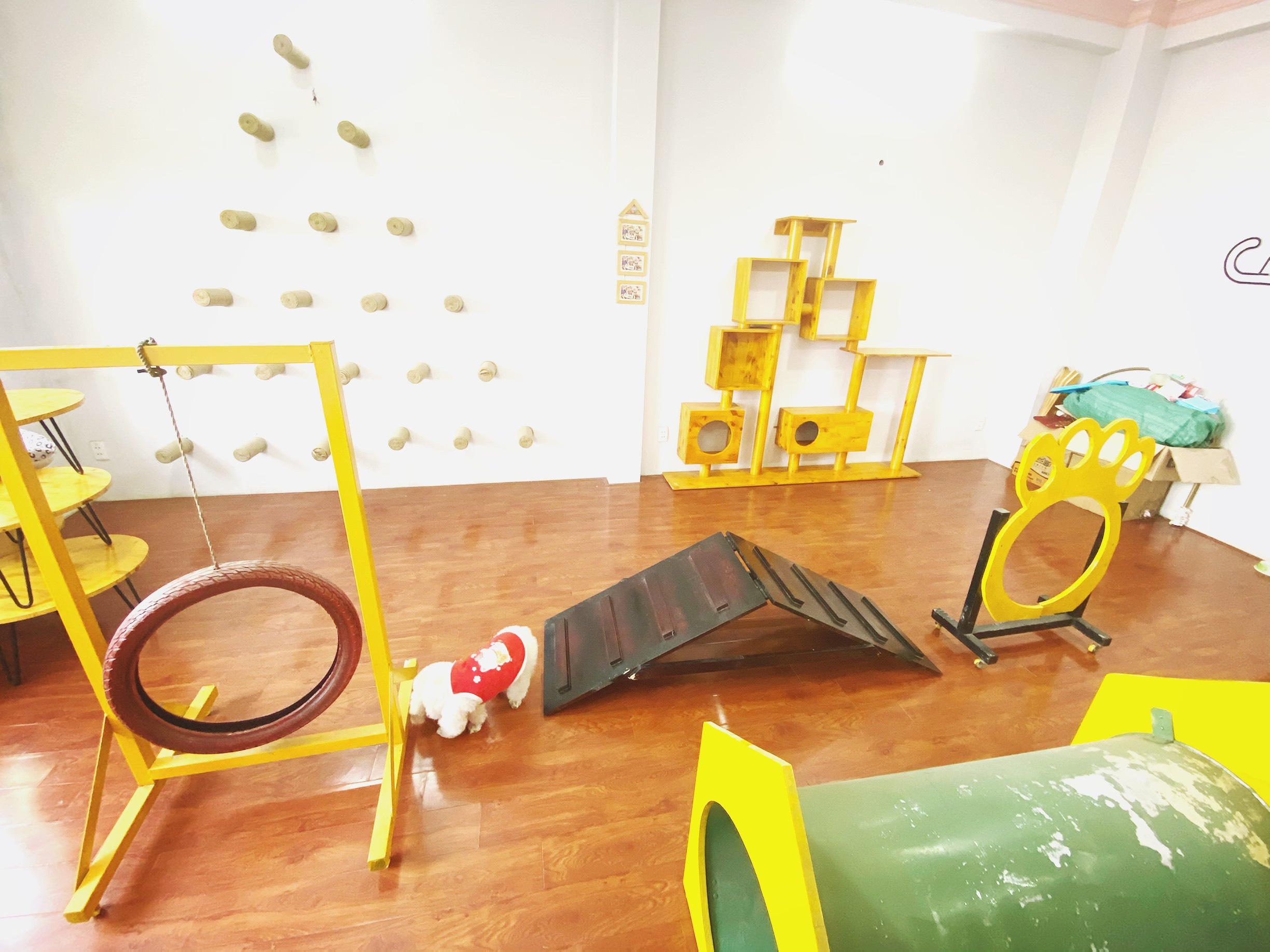 Đồ chơi cho chó “xịn xò” mua ở đâu TPHCM?