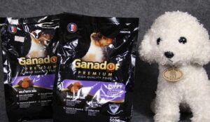 Thức ăn cho chó Ganador – Dinh dưỡng đầy đủ cho sức khỏe chó 