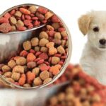 Thức ăn khô cho chó Royal Canin liệu có tốt cho các bé?