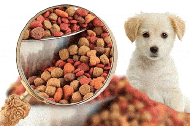 Thức ăn khô cho chó Royal Canin liệu có tốt cho các bé?