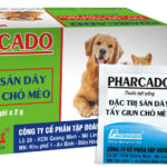 Top 7 loại vitamin cho chó cần thiết để tránh bệnh tật