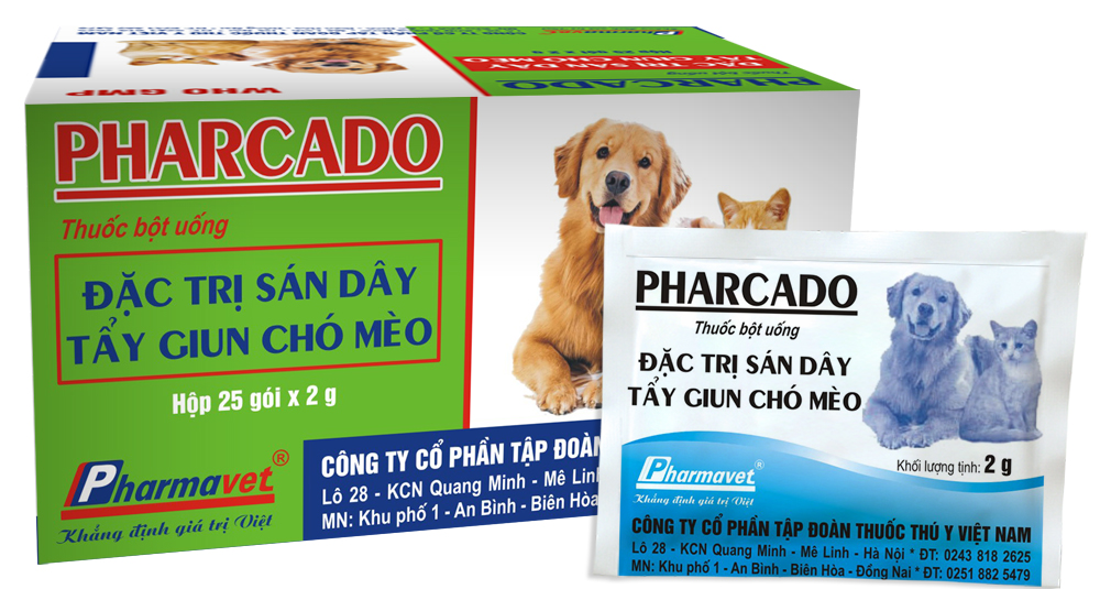 Top 7 loại vitamin cho chó cần thiết để tránh bệnh tật