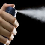 Thuốc xịt ve chó: Mua loại nào, sử dụng ra sao cho an toàn?