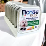 Review pate Monge cho chó có tốt không? Giá rẻ nhất ở đâu?